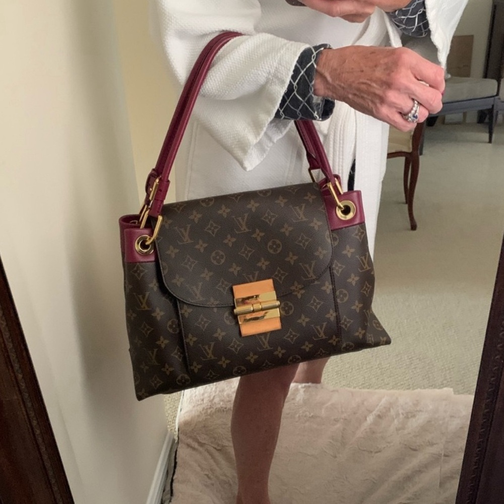 Louis Vuitton Brown and Burgundy Shoulder Bag